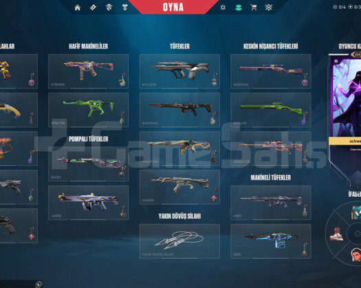 200 LEVEL İMMO HESAP SATIŞI