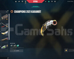 champions 21 ve 24 set full+full videolu ömürlük