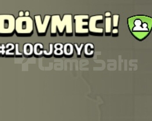 17 LEVEL DÖVMECİ KLANI BAŞKENT 9 HEMEN TESLİM