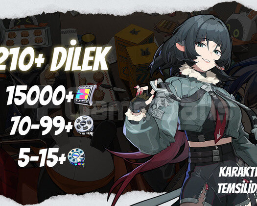 EU | IK35+ 210+ Dilek - 15000+ Polychrome 70/5