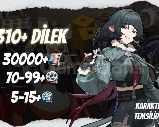NA | IK35+ 310+ Dilek - 30000+ Polychrome 70/5