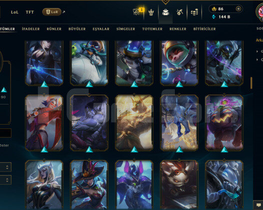 EUW / 380 LEVEL / 149 SKİN / FUL HERO +MAİL