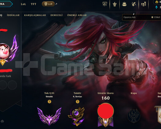 TR 65WR MASTER GM MMR 23SKİN HANDMADE ACC!