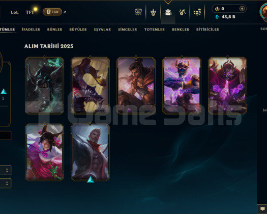 EUW HANDMADE PLAT 4/70WR/43K MAVİ ÖZ/TAKDİR 5