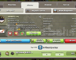 Satilk 3 lvl klan usta lig 3 de GRAPE LİG