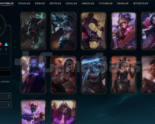 PRESTIJ VAYNE MAINLEMELIK 62 WR HESAP
