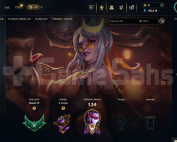 PRESTIJ VAYNE MAINLEMELIK 62 WR HESAP