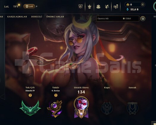 PRESTIJ VAYNE MAINLEMELIK 62 WR HESAP