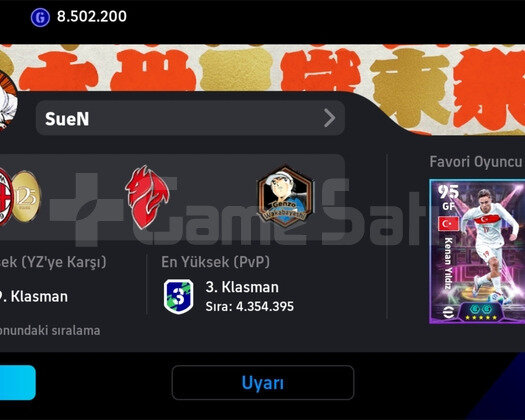 3145 KGLİ GÜZEL HESAP