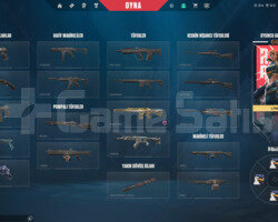 Valorant 6 skinli Plat 1 Sağlam hesap