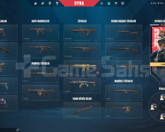 Valorant 6 skinli Plat 1 Sağlam hesap