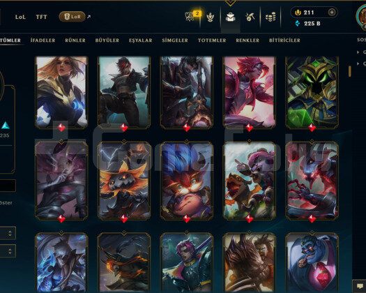 EUW/ 497 LEVEL / 465 SKİN / FUL HERO +MAİL