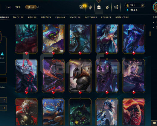 EUW/ 497 LEVEL / 465 SKİN / FUL HERO +MAİL