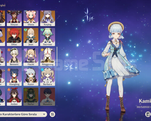 AR57 19x5 karakter 4x5 silah