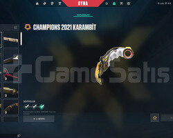 champions 21 25 setli dolular dolusu