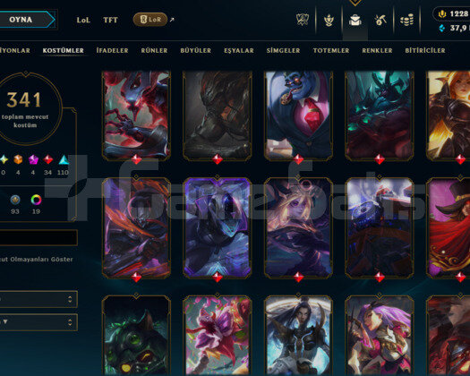 231 LEVEL/ 341 SKIN / FULL HERO / 1228 RP / +MAIL