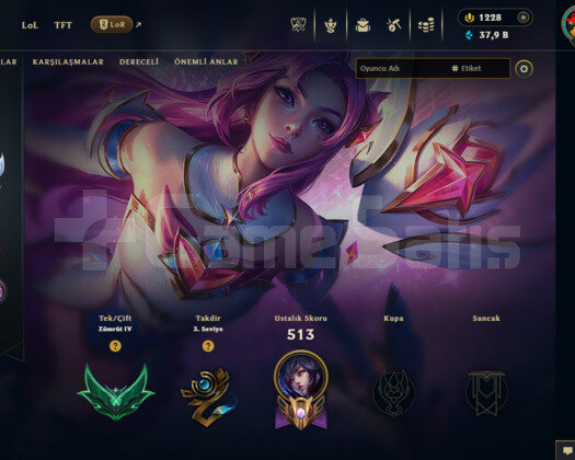 231 LEVEL/ 341 SKIN / FULL HERO / 1228 RP / +MAIL
