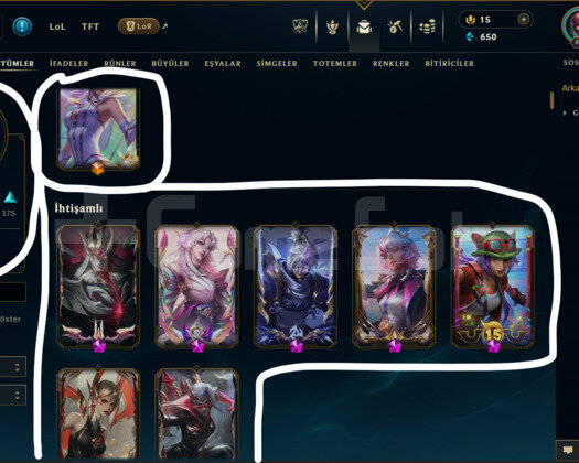 473 LEVEL / 315 SKİN / FUL HERO +MAİL +9750 SATIŞ