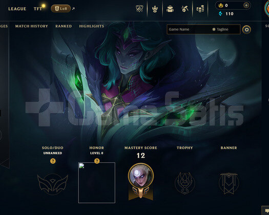 TR Unranked | 2 Kostüm - 35 Hero | LoL Hesap
