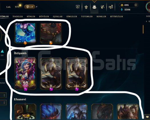 TR / 535 LEVEL / 122 SKİN / FUL HERO +MAİL