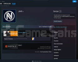 24bin saat cs + 24bin saat dota 2 steam hesabı