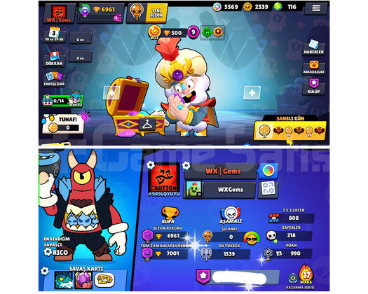 FİYAT PERFORMAS 3 HESAP, BS,CR,COC