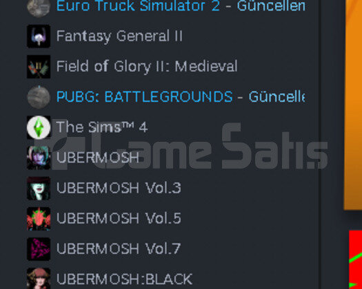 STEAM DOLU HESAP
