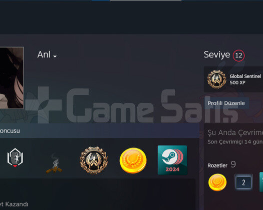 Steam 4 GÜZEL OYUNA SAHİP ACİL SATILIK HESAP