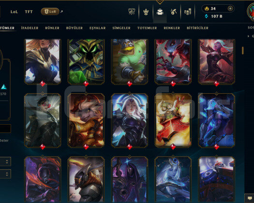 EUW / 419 LEVEL / 394 SKİN / FUL HERO +MAİL