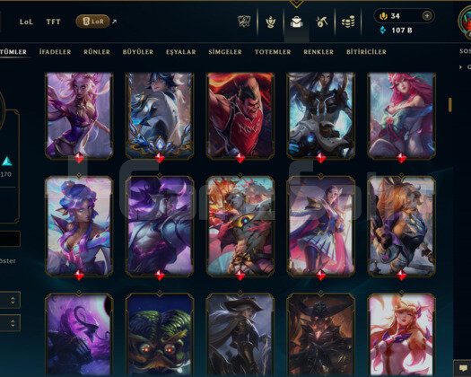 EUW / 419 LEVEL / 394 SKİN / FUL HERO +MAİL