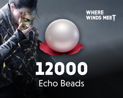 Where Winds Meet 12000 Echo Beads