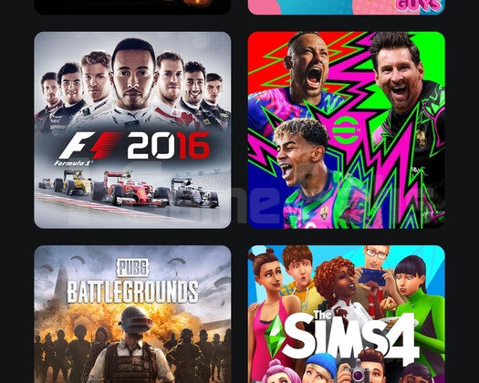 PSN 4 HESAP