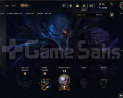 EUW | 9 SKİN | 30 LVL | UNRANKED