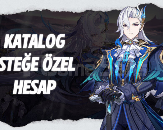 KATALOG | Genshin impact - EN KAPSAMLI