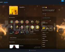 333 LEVEL 2179 OYUNLU YÜKSEK DEĞERLİ STEAM HESABI