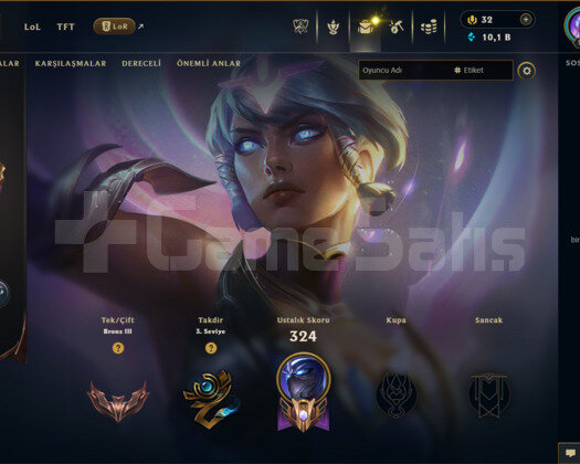 EUW | 221 SKİN | BRONZ 3