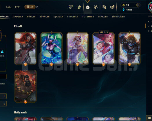 EUW / 993 LEVEL / 901 SKİN / FUL HERO +MAİL