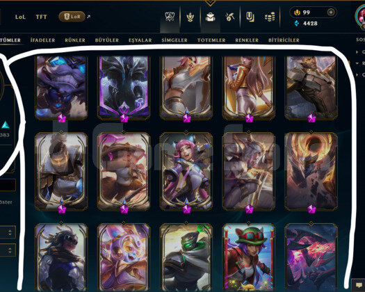 EUW / 993 LEVEL / 901 SKİN / FUL HERO +MAİL