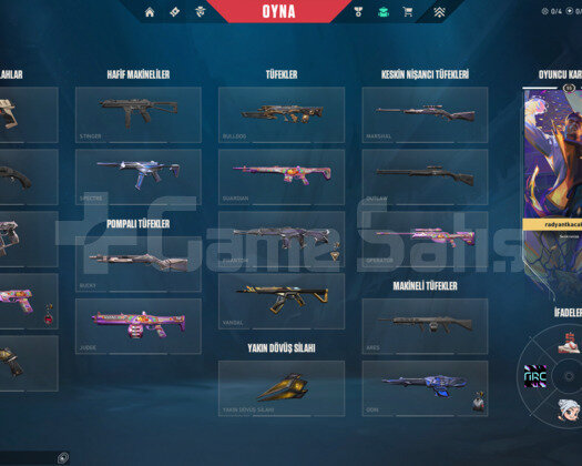 3 VANDALLI BULLDOGLU SMURFLÜK ACC!