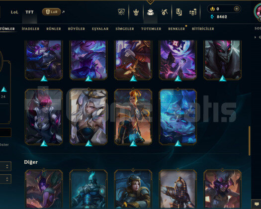 TR / 211 LEVEL / 52 SKİN / FUL HERO +TELEFON+MAİL