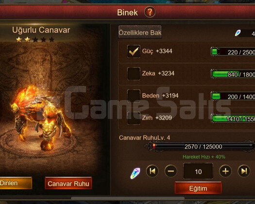 S40 - VİP 14 YAYCI BOL FASHION BİNEK 1.2M