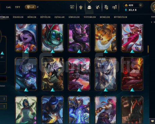 EUW / 193 LEVEL / 144 SKİN /+MAİL /+10.000 SATIŞ