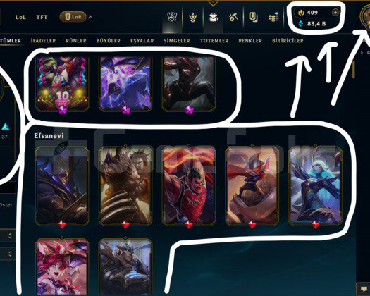 EUW / 193 LEVEL / 144 SKİN /+MAİL /+10.000 SATIŞ