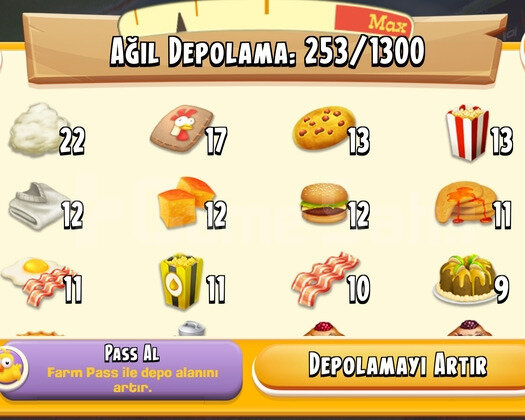 45 Level  1300 Ağıl Hayday Hesap