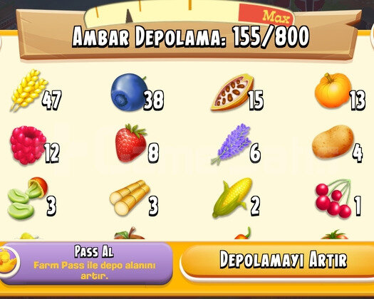 45 Level  1300 Ağıl Hayday Hesap