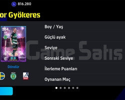 Mükemmel Gyökeresli Hesap