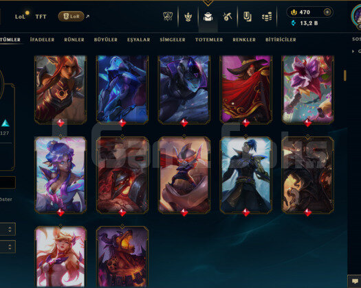 EUW / 662 LEVEL / 287 SKİN / USTALIK /+MAİL