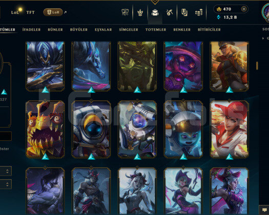 EUW / 662 LEVEL / 287 SKİN / USTALIK /+MAİL