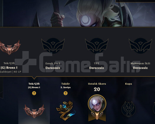 BRONZ 1 EĞLENMELİK ESKİ HESAP