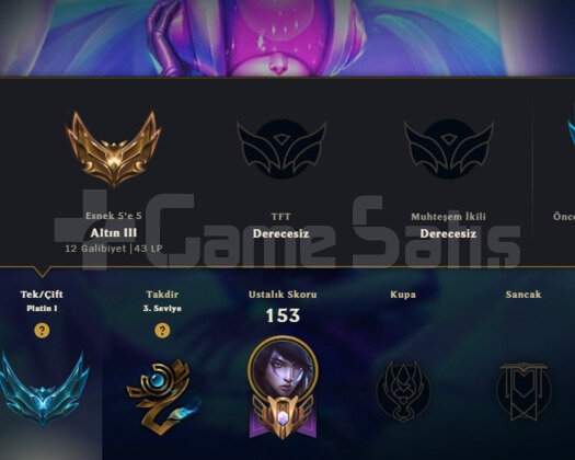 65 SEVİYE PLAT 1 75LP FENA HESAP